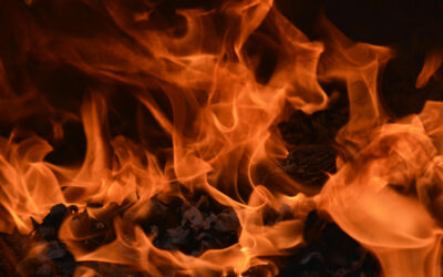 Navigating Wildfire Insurance 101: Everything You Need to Know